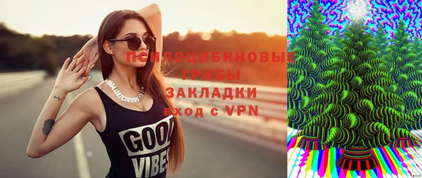 соль ск Карталы