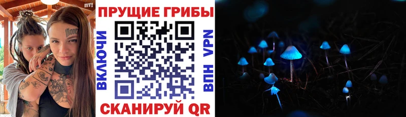 Купить  Бабаево  Псилоцибиновые грибы мухоморы 